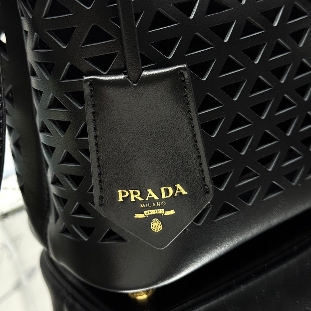 Dragons Bags Pradn Luxury Bag --101775