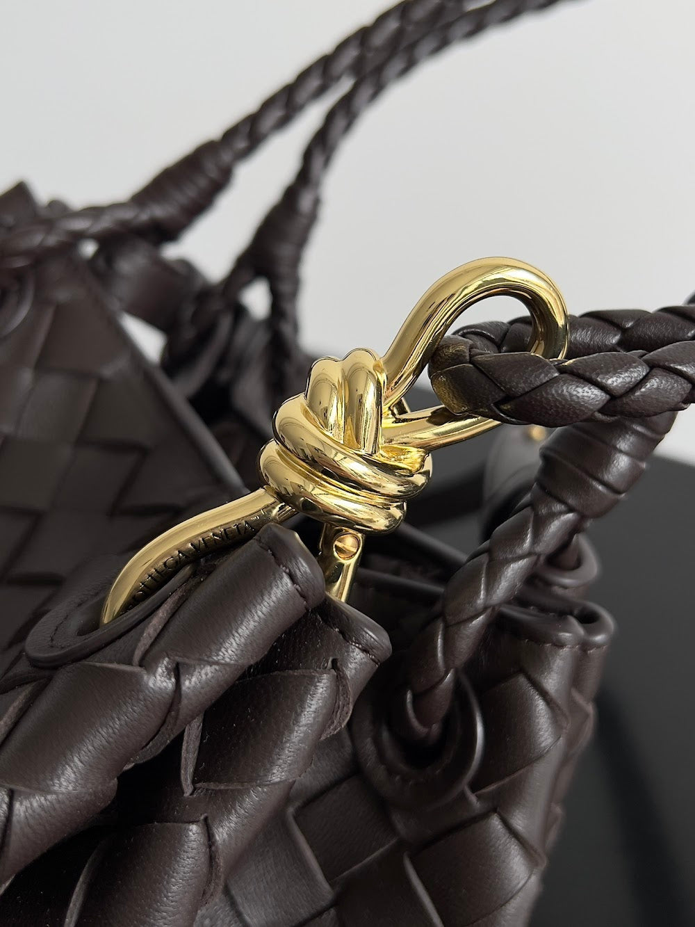 Dragons Bags Bottegan Luxury Bag --90946
