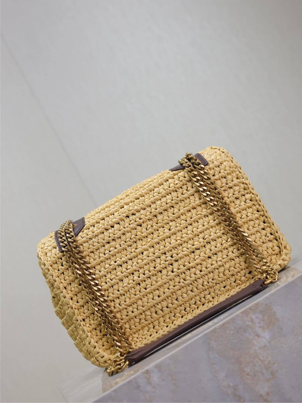 Dragons Bags YSLn Luxury Bag --120221