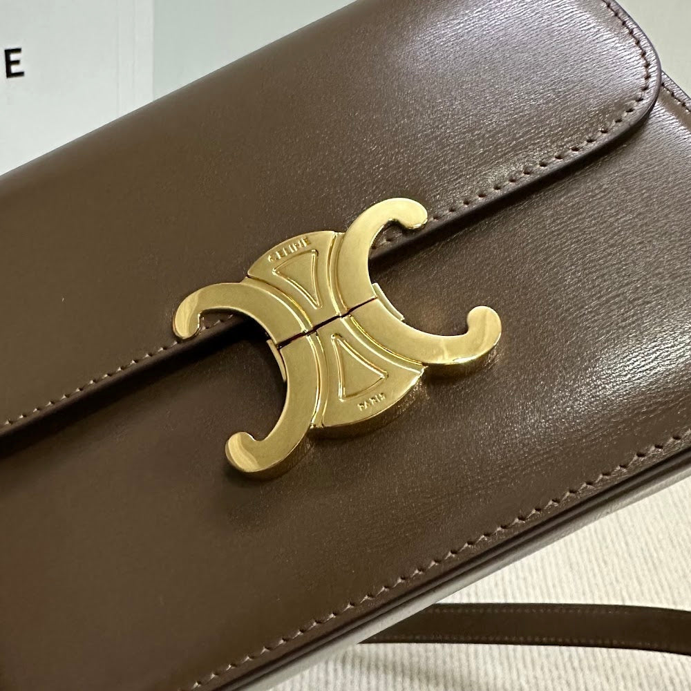 Dragons Bags Celine Luxury Bag --111988