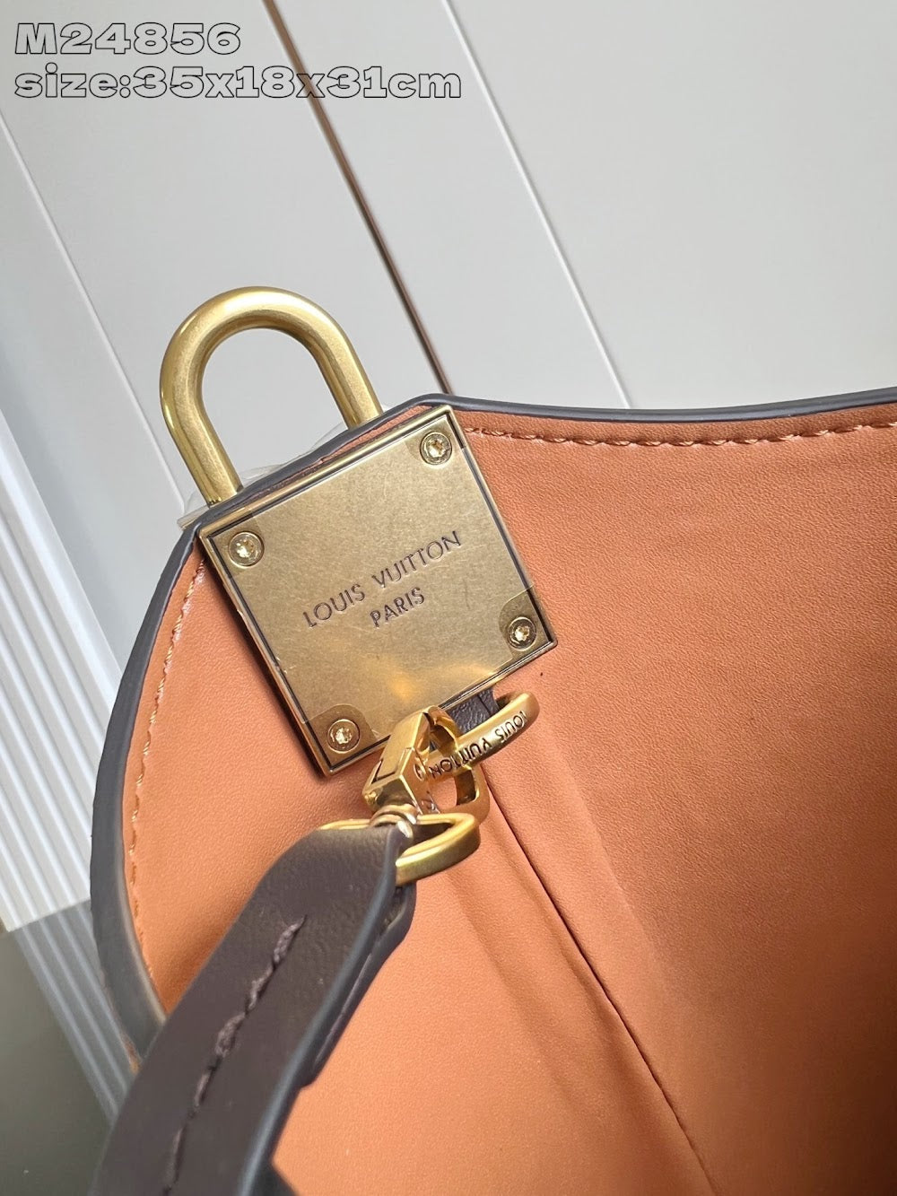 Dragons Bags ln Luxury Bag --97524