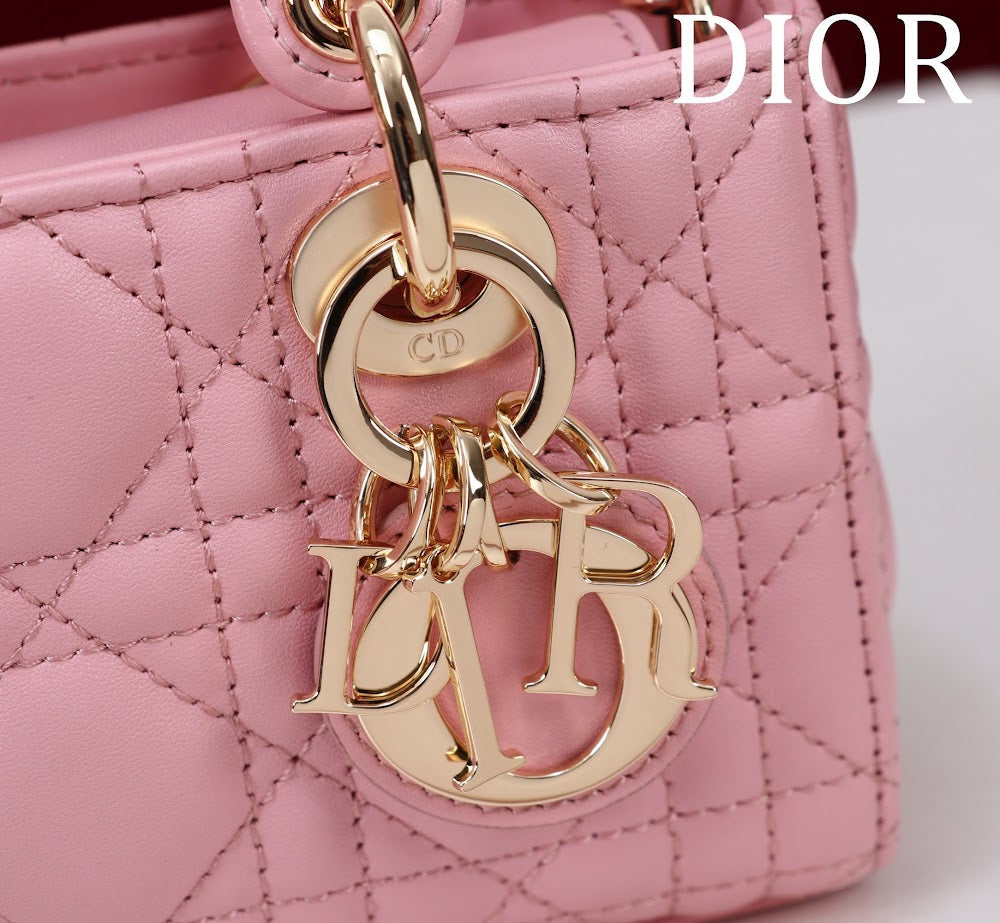 Dragons BagsDiorn Luxury Bag --116463