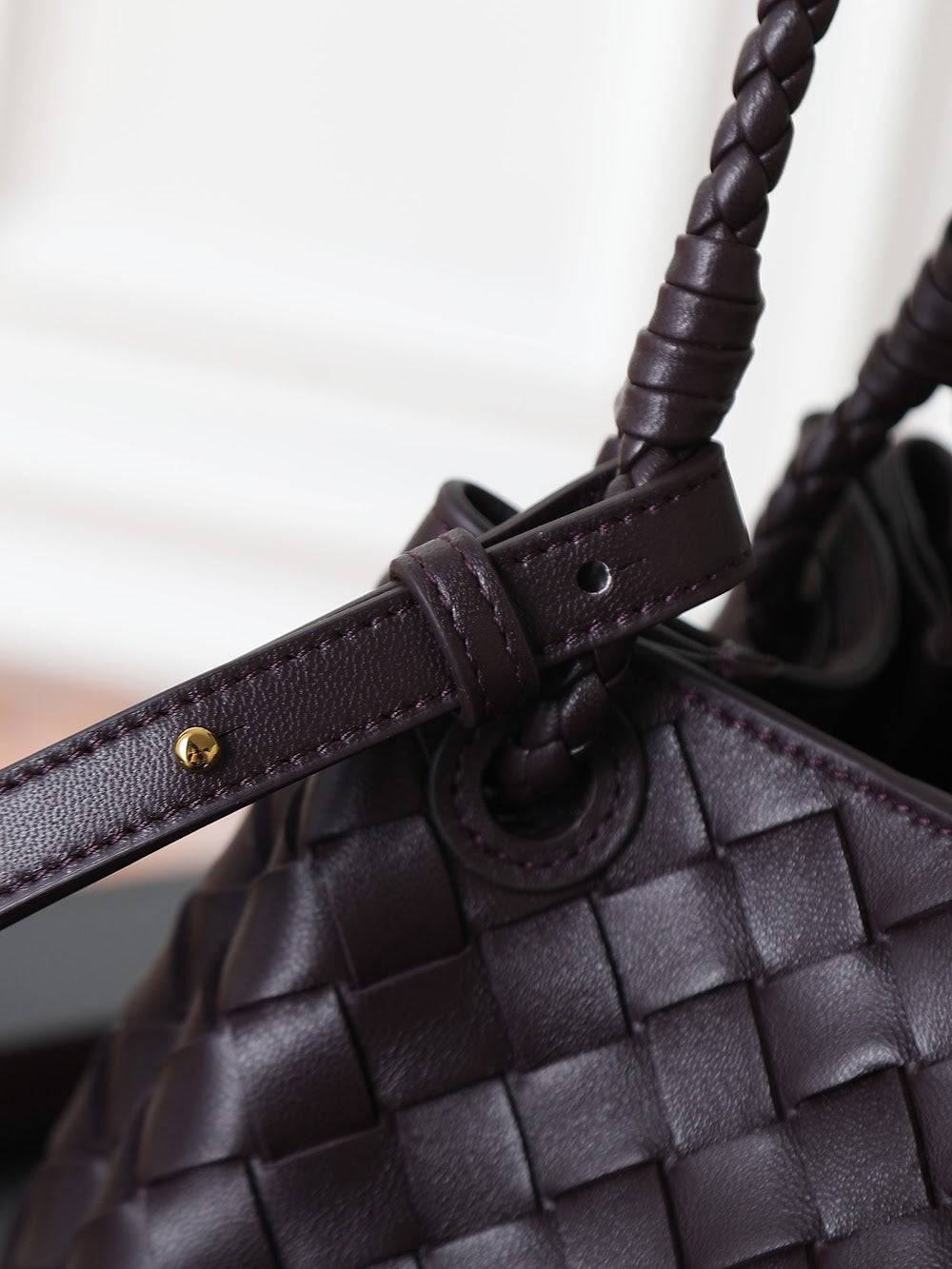 Dragons Bags Bottegan Luxury Bag --91327