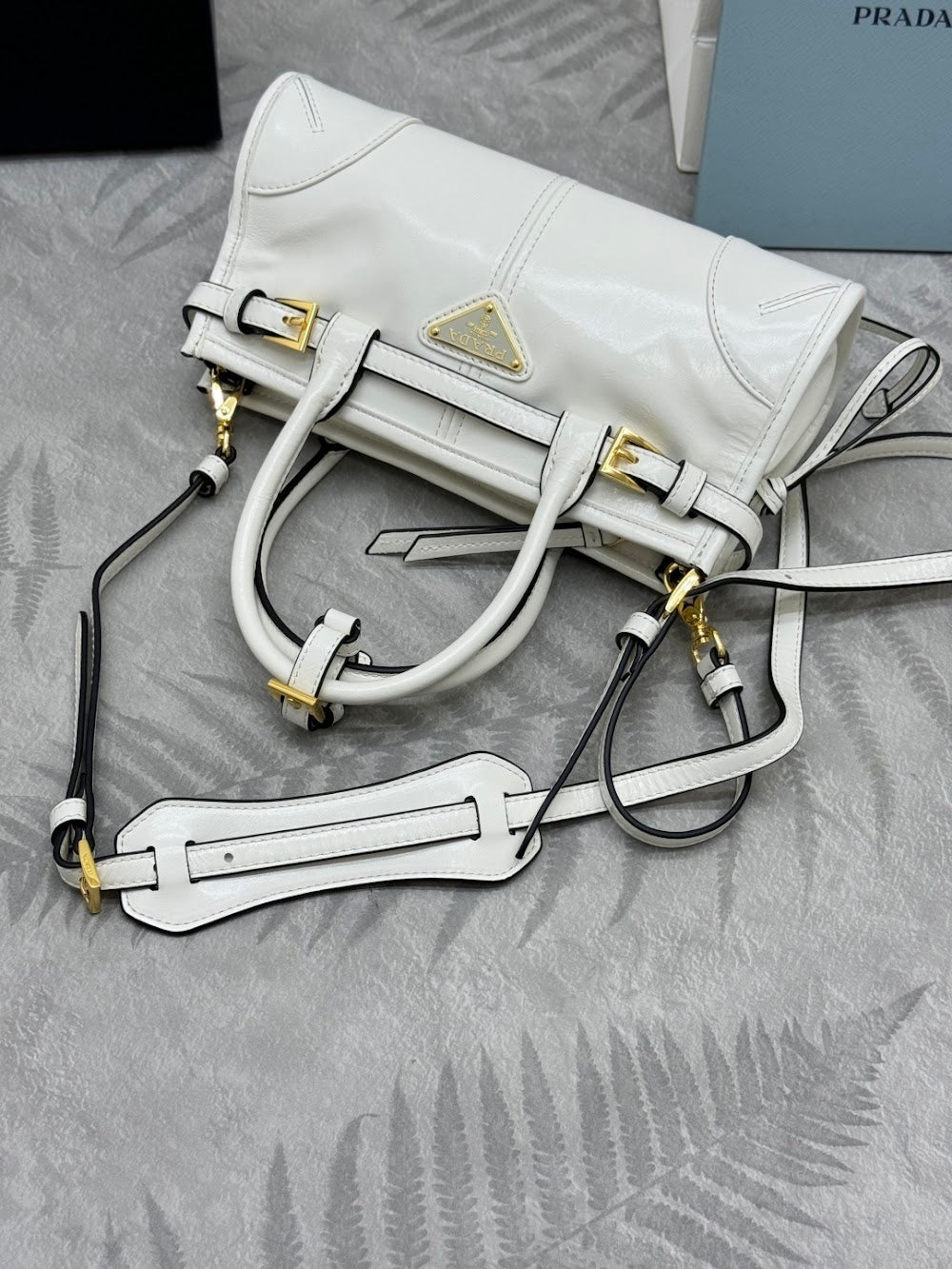 Dragons Bags Pradn Luxury Bag --101386