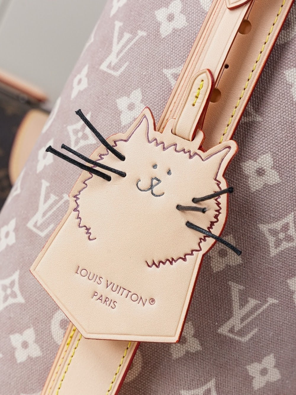 Dragons Bags LVn Luxury Bag --79872