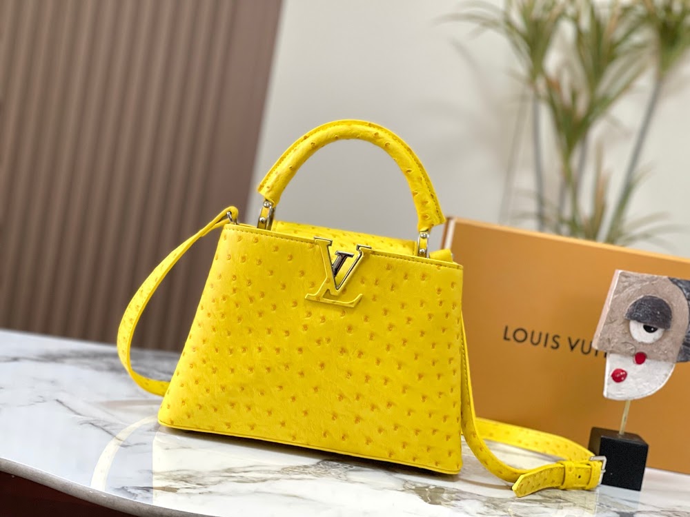 Dragons Bags LVn Luxury Bag --80708