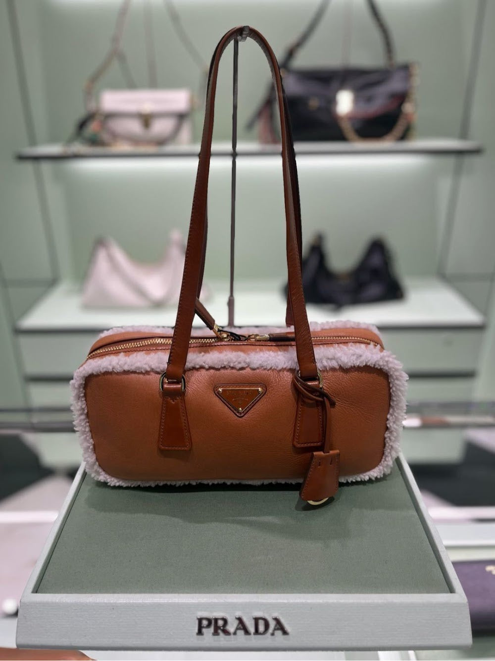 Dragons Bags Pradn Luxury Bag --102874