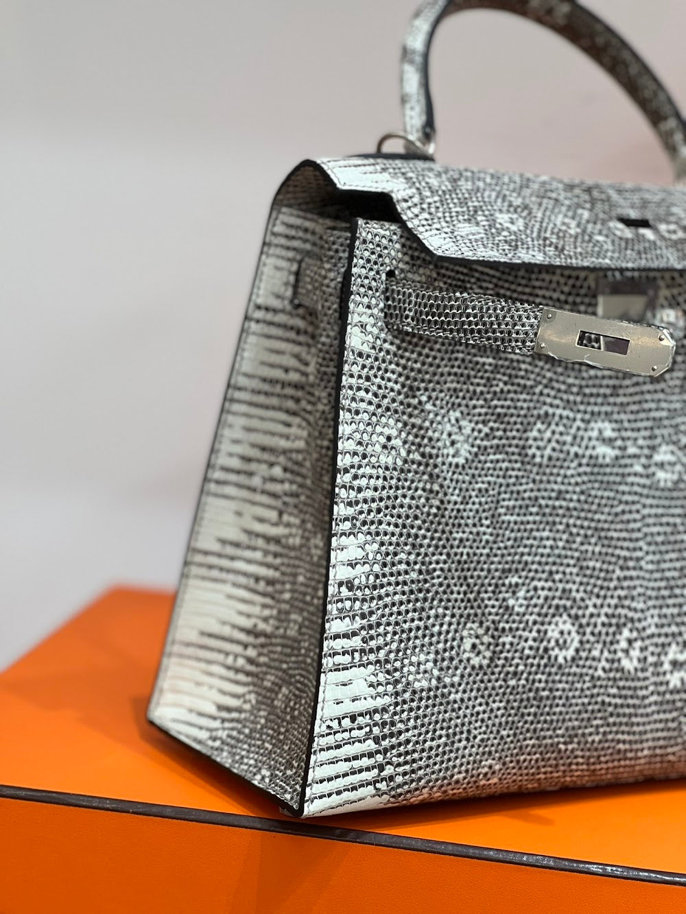 Dragons BagsHermesn Luxury Bag --117123