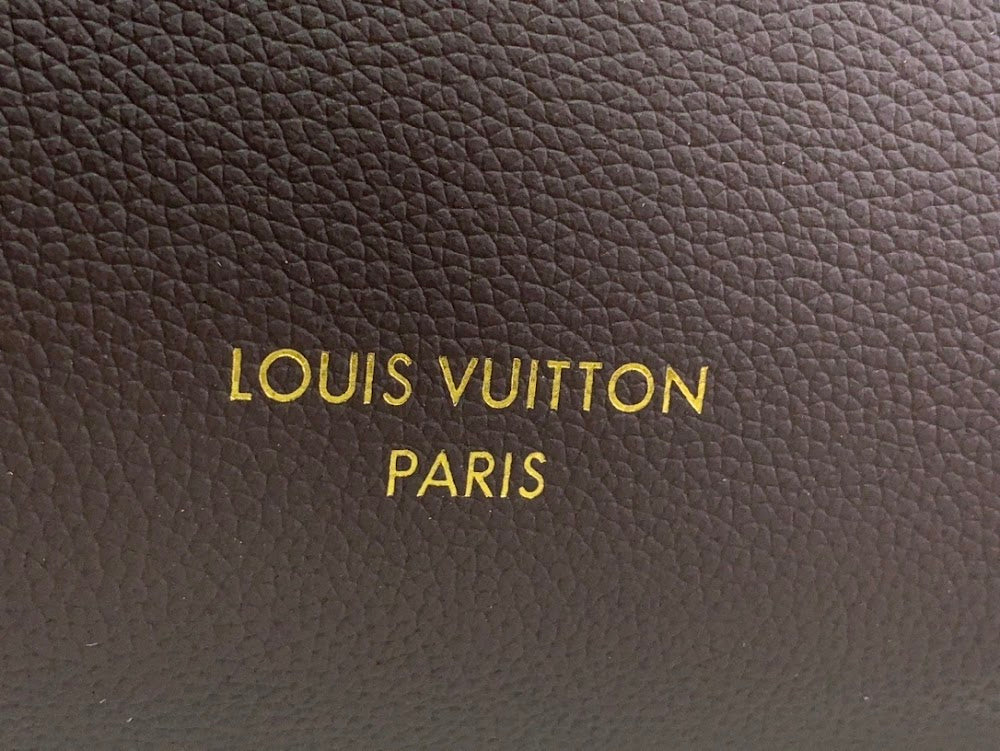 Dragons Bags ln Luxury Bag --62708