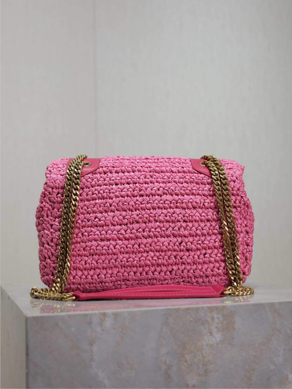 Dragons Bags YSLn Luxury Bag --120217