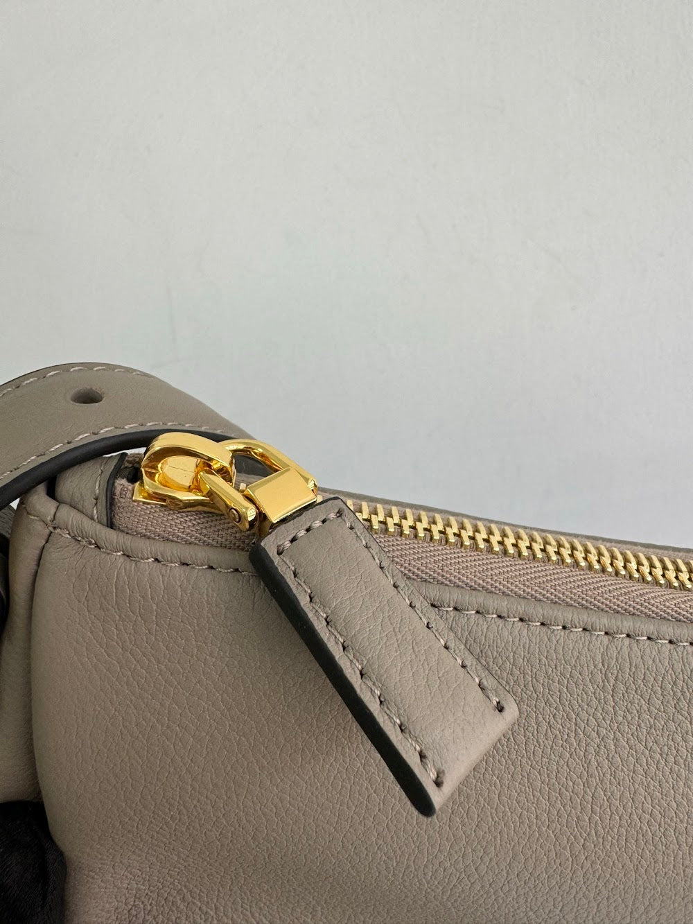 Dragons Bags Pradn Luxury Bag --102559