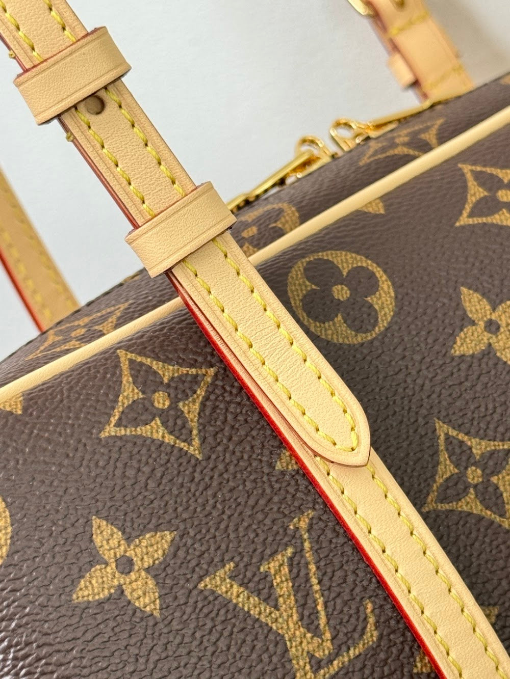 Dragons Bags ln Luxury Bag --96761