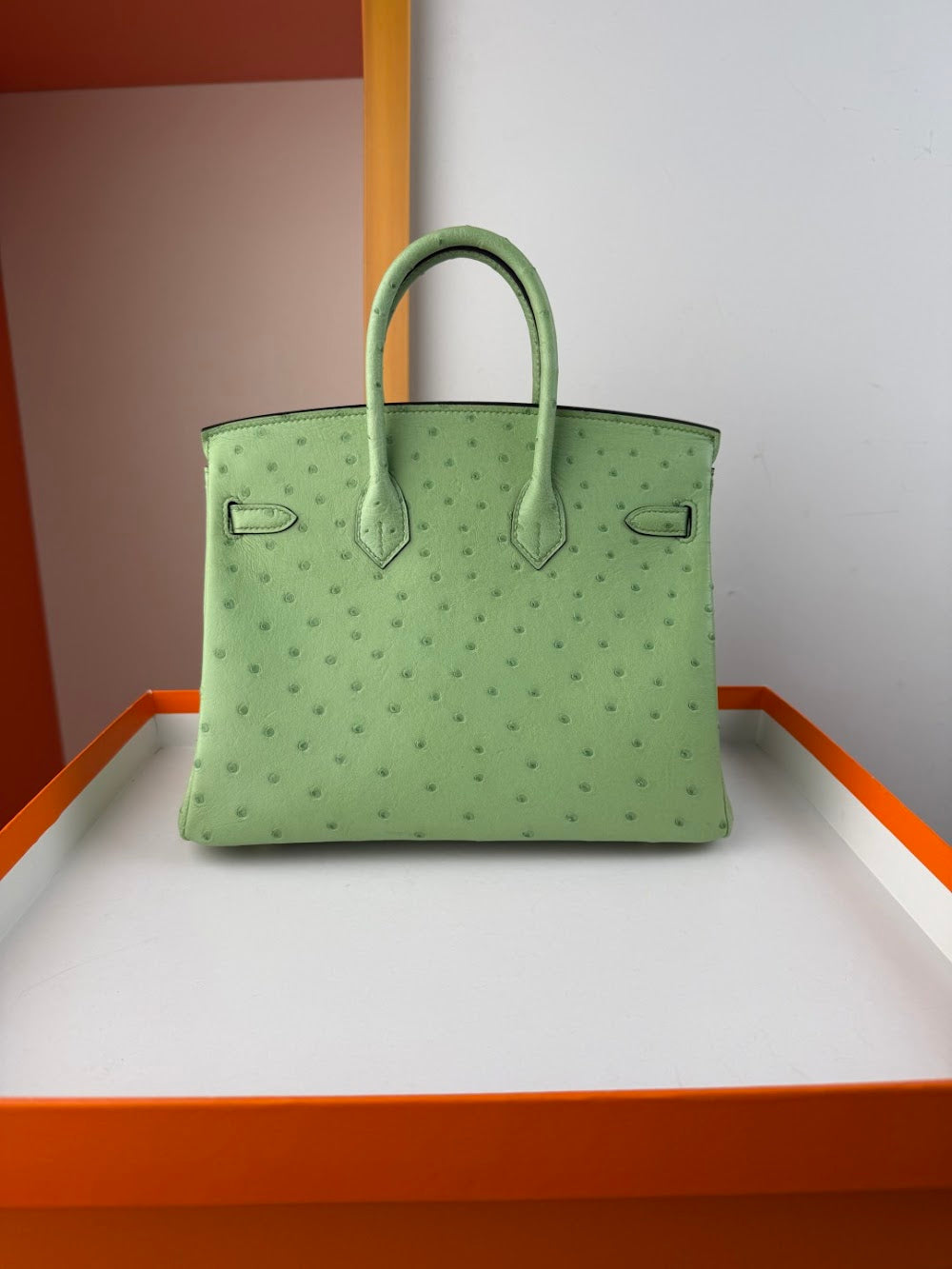 Dragons BagsHermesn Luxury Bag --116759