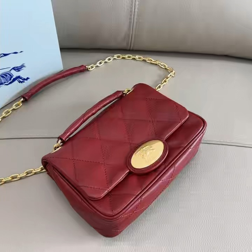Dragons Bags Burberryn Luxury Bag --92339