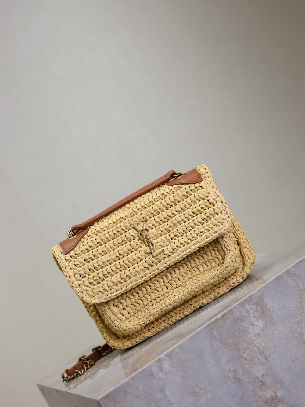 Dragons Bags YSLn Luxury Bag --119184