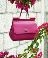 new-designer-premium-bags-nm6968