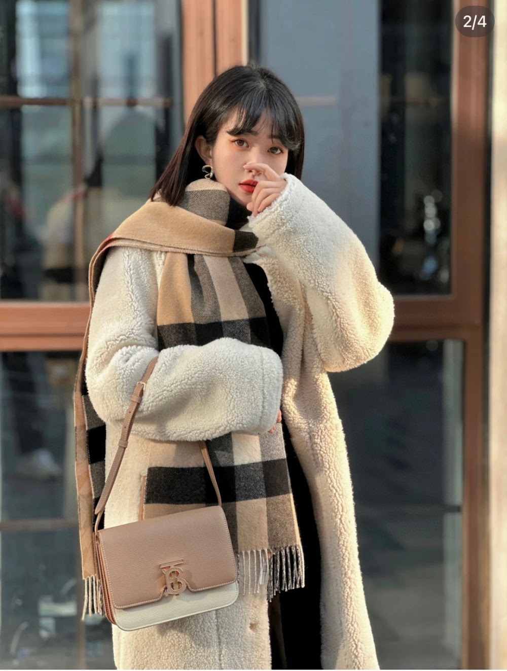 Dragons Bags Burberryn Luxury Bag --92701