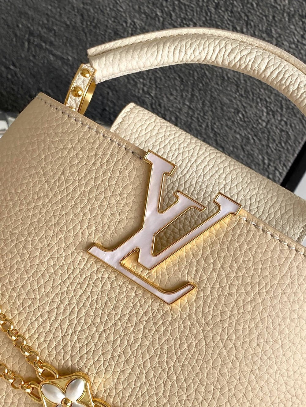 Dragons Bags ln Luxury Bag --97597
