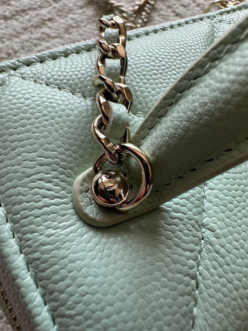 Dragons Bags CHn Luxury Bag --112700