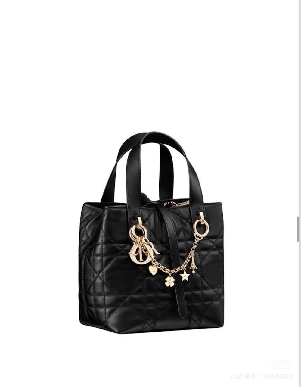 Dragons BagsDiorn Luxury Bag --115804