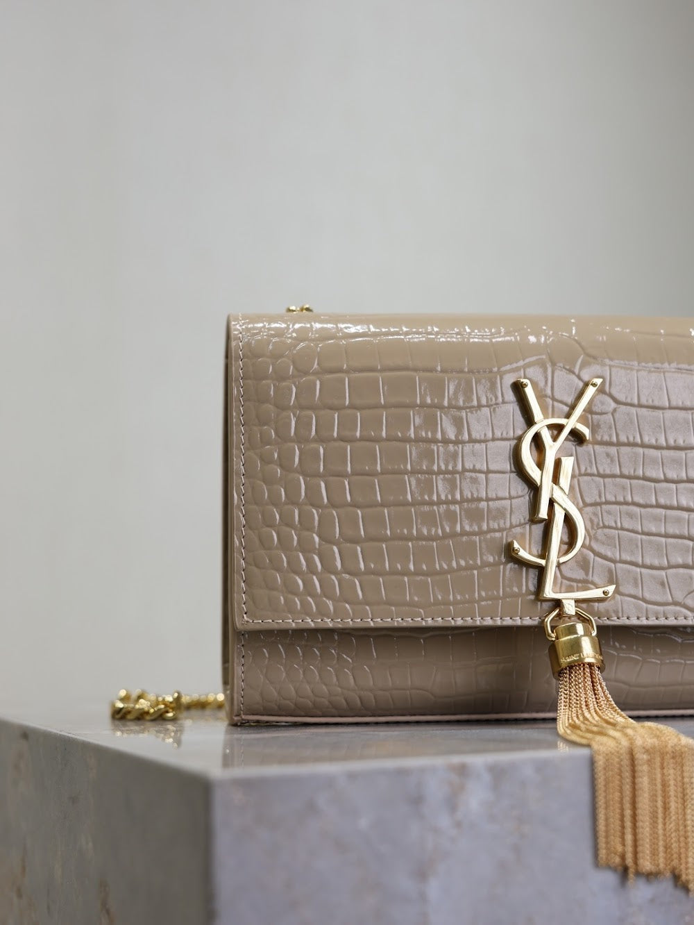 Dragons Bags YSLn Luxury Bag --119161