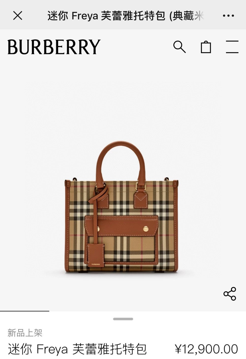 Dragons Bags Burberryn Luxury Bag --92623