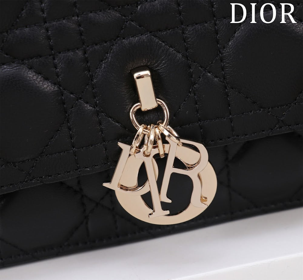 Dragons BagsDiorn Luxury Bag --116297