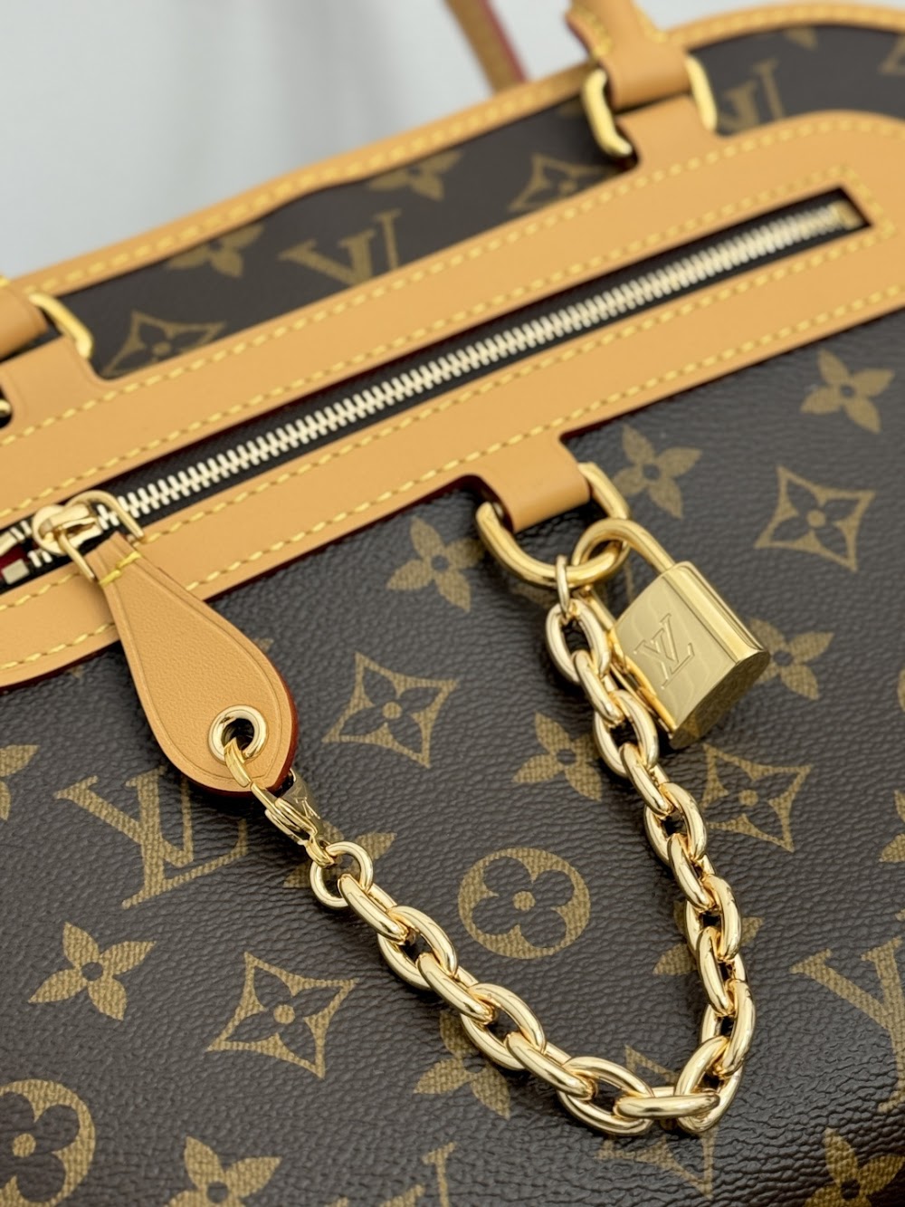 Dragons Bags ln Luxury Bag --96280