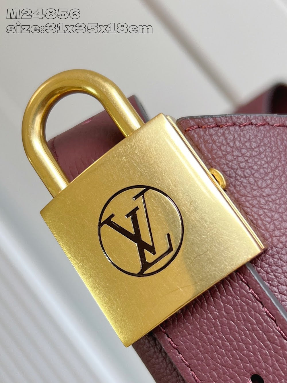 Dragons Bags ln Luxury Bag --96880