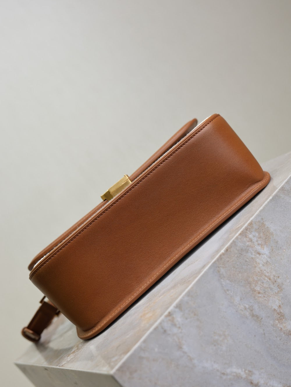 Dragons Bags YSLn Luxury Bag --119356