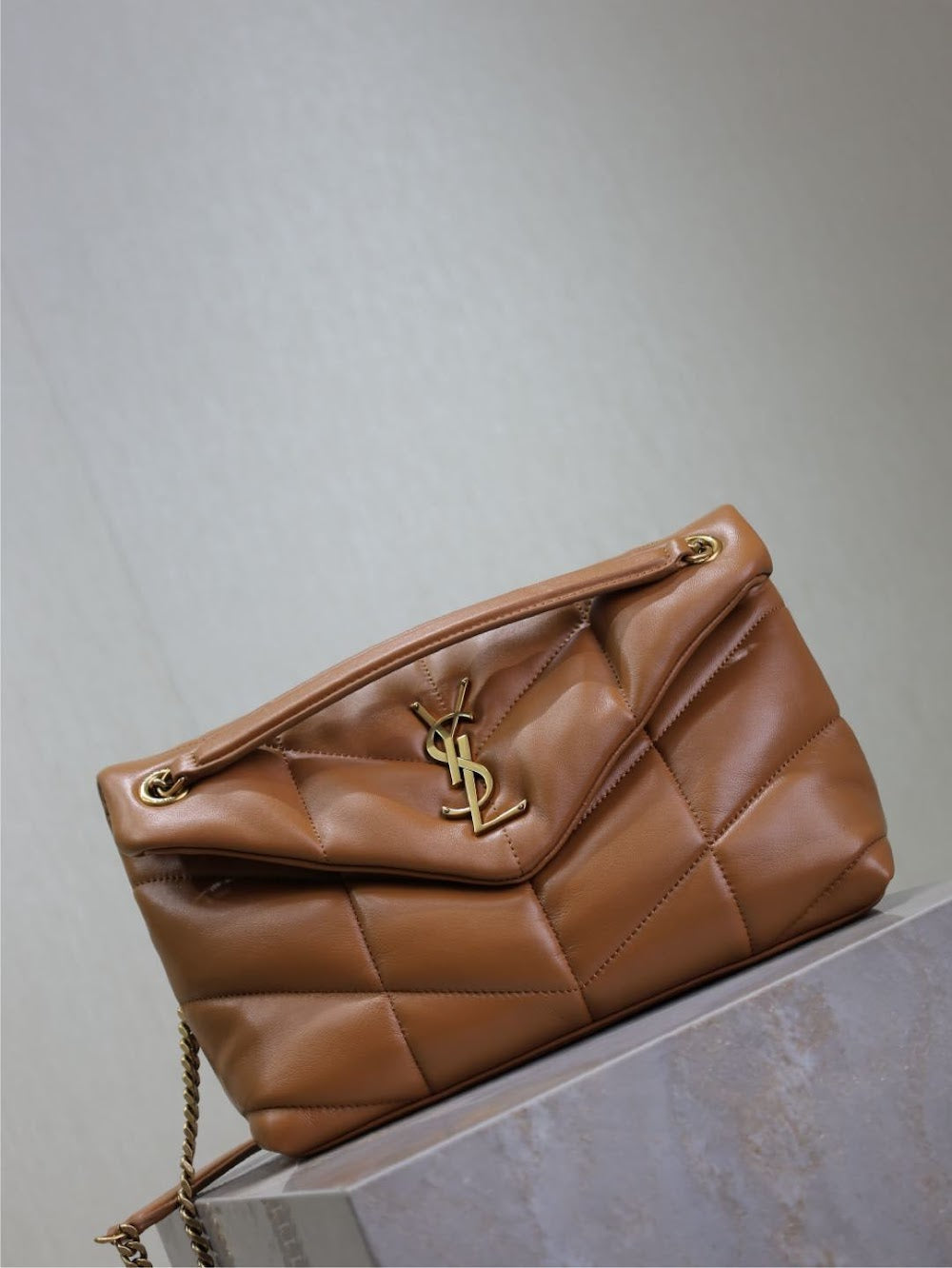 Dragons Bags YSLn Luxury Bag --119433
