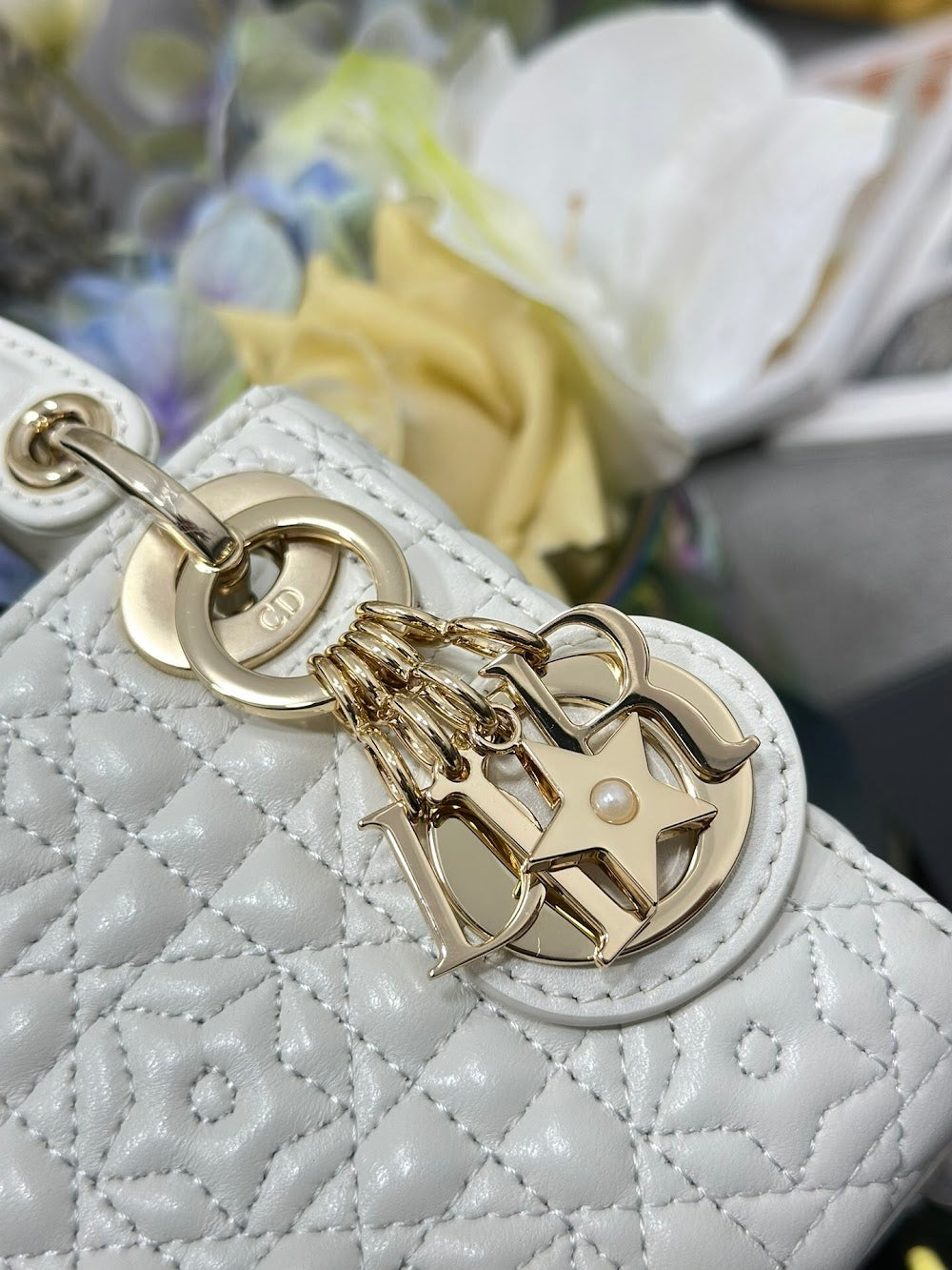 Dragons BagsDiorn Luxury Bag --115650