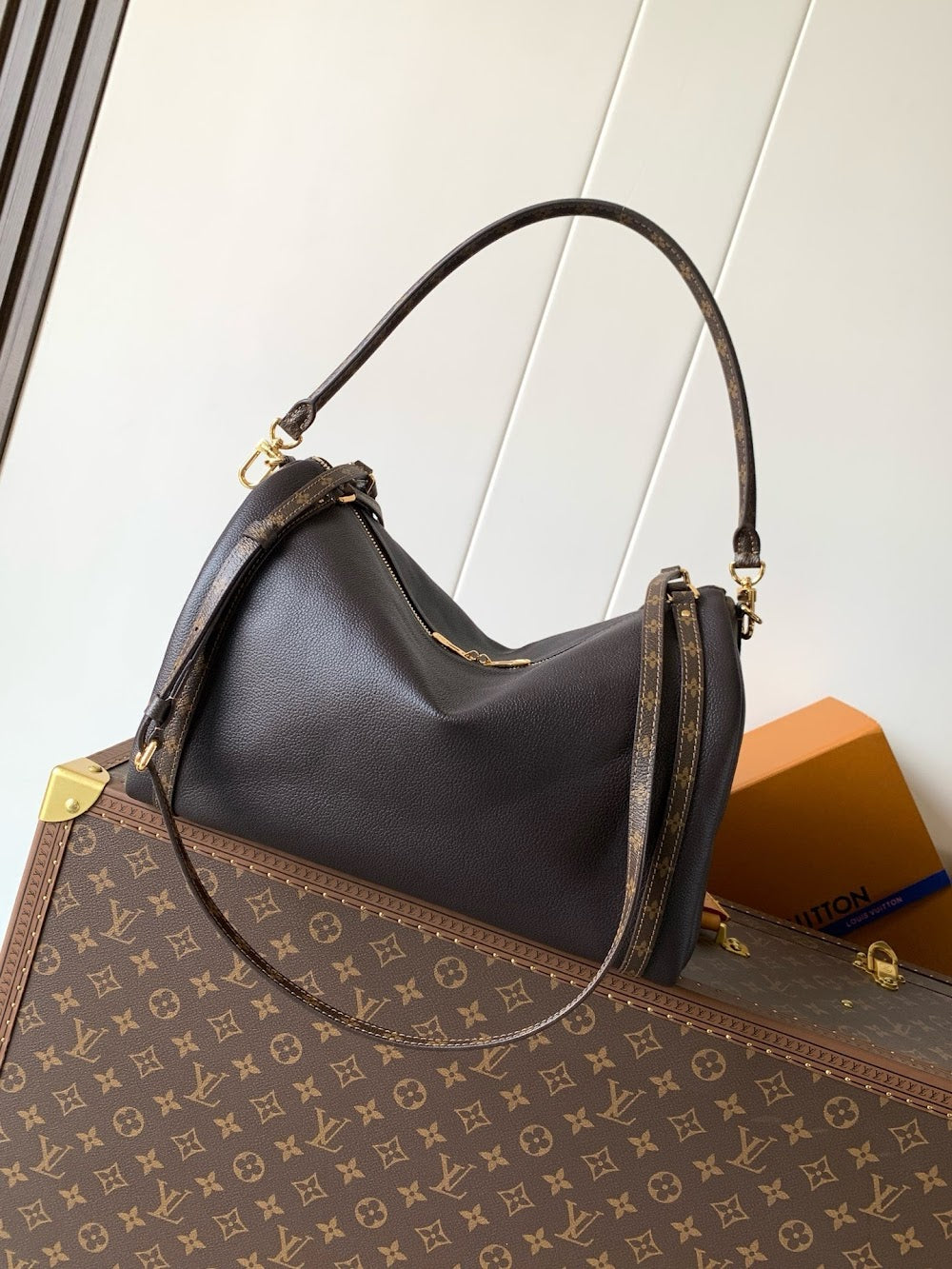 Dragons Bags LVn Luxury Bag --79057