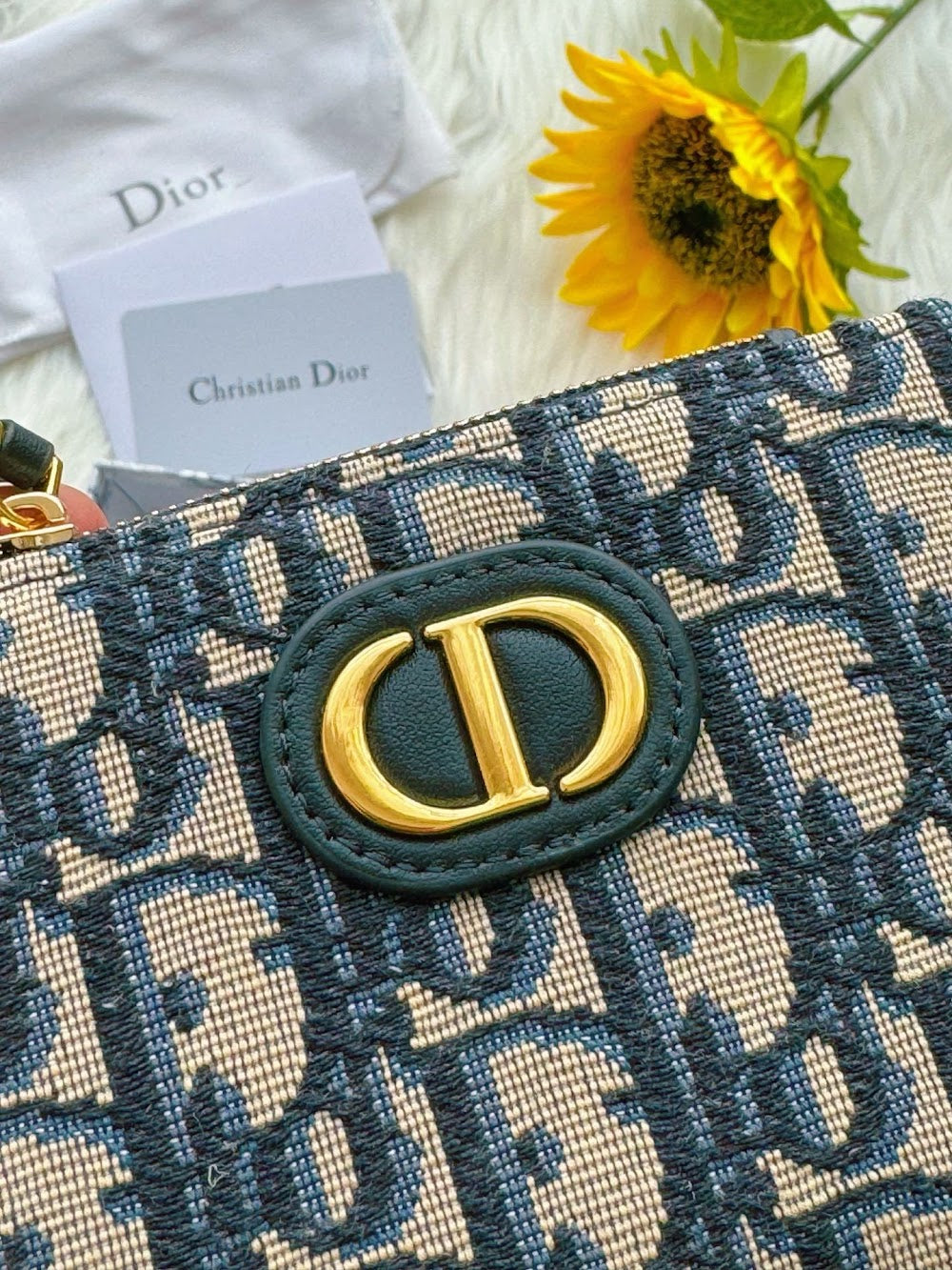 Dragons BagsDiorn Luxury Bag --115212