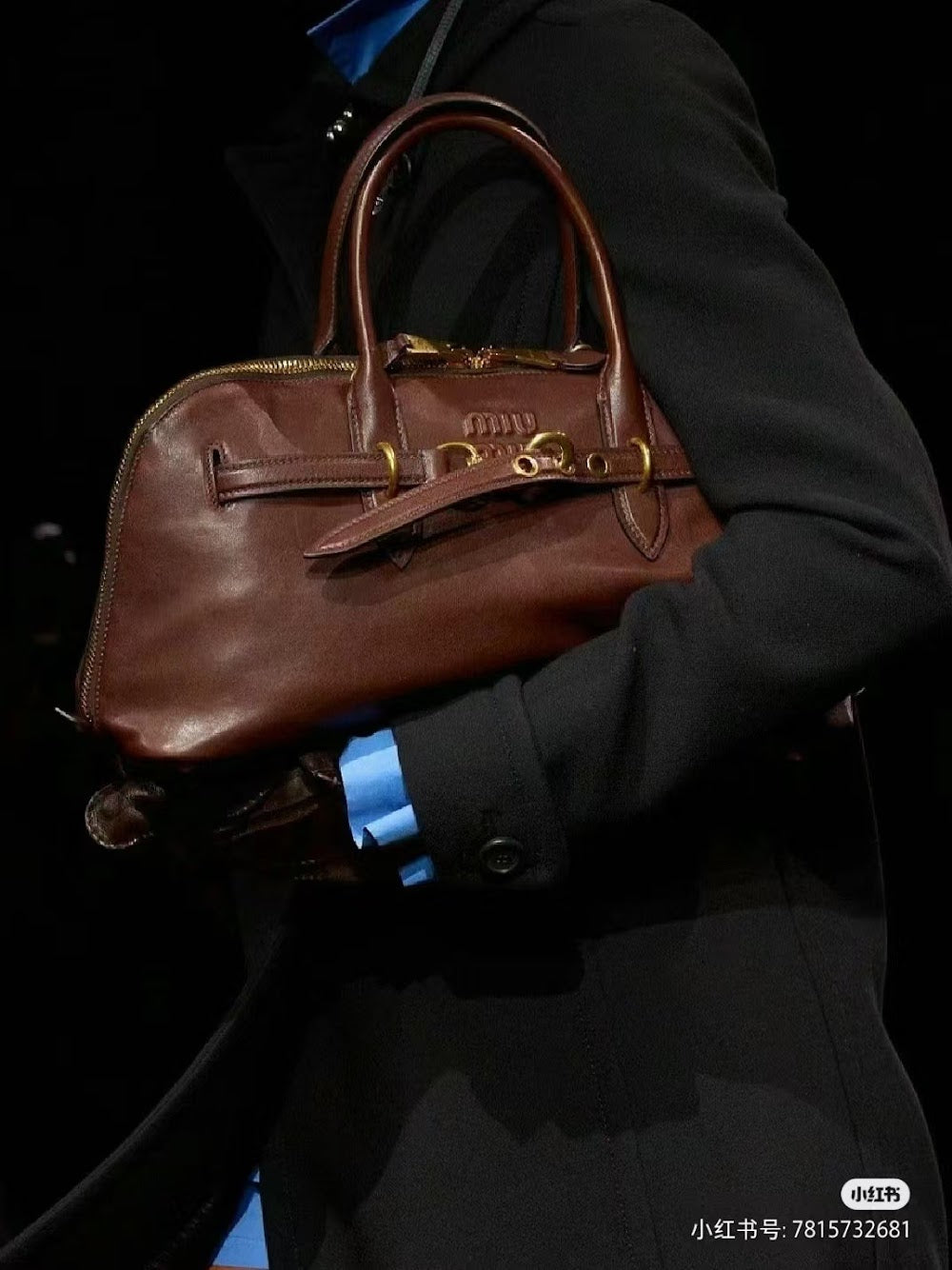 Dragons Bags Miun Miun Luxury Bag --122995