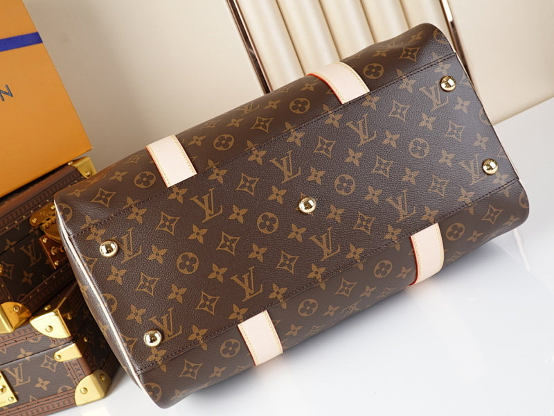 Dragons Bags ln Luxury Bag --60448