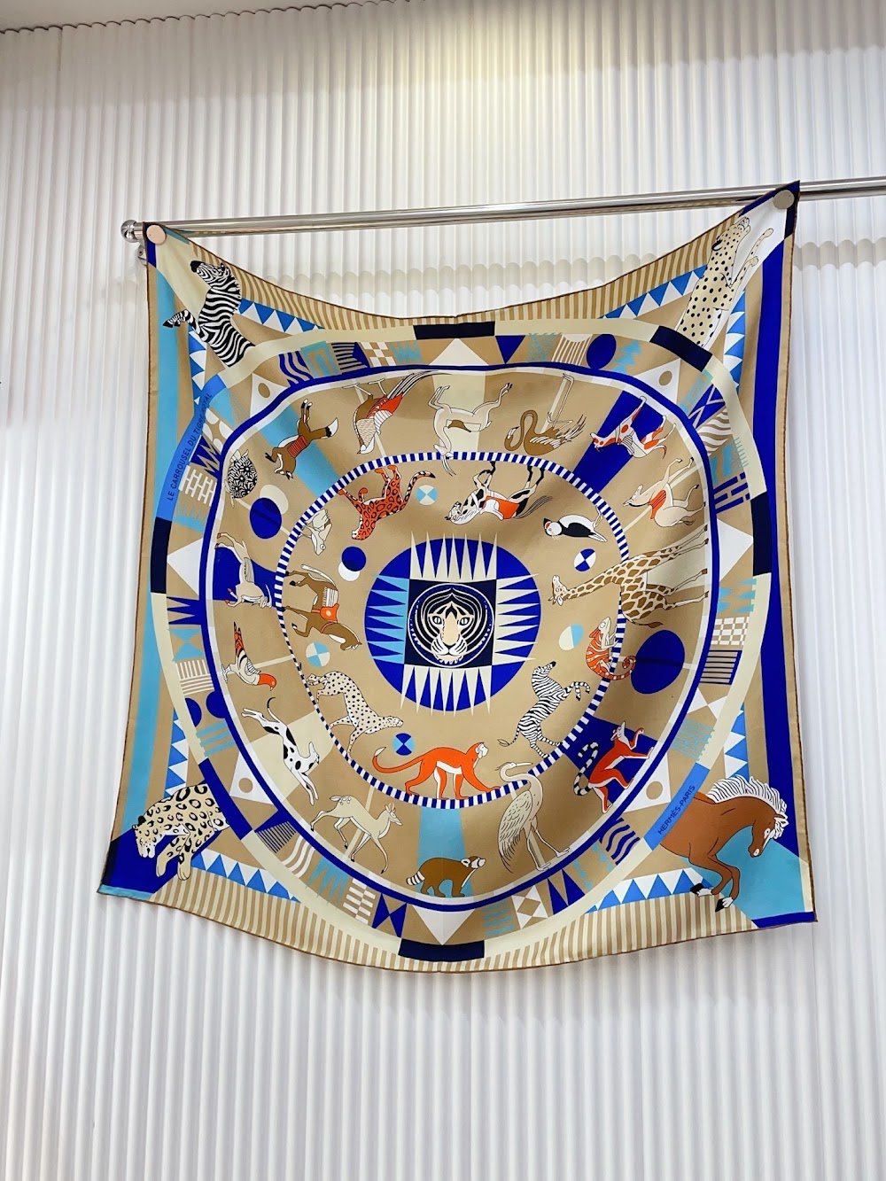 Dragons Bags Premium Designer Scarf --98984