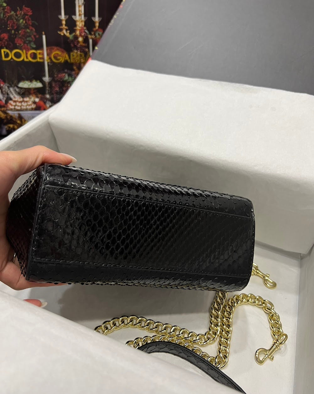Dragons Bags DGn Luxury Bag --93288
