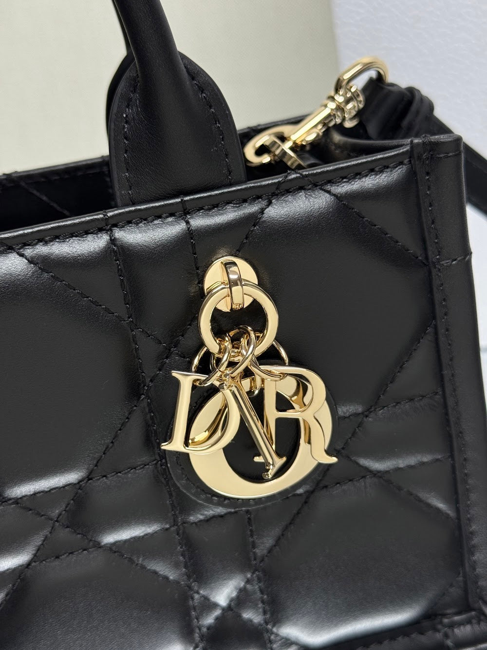 Dragons BagsDiorn Luxury Bag --115250