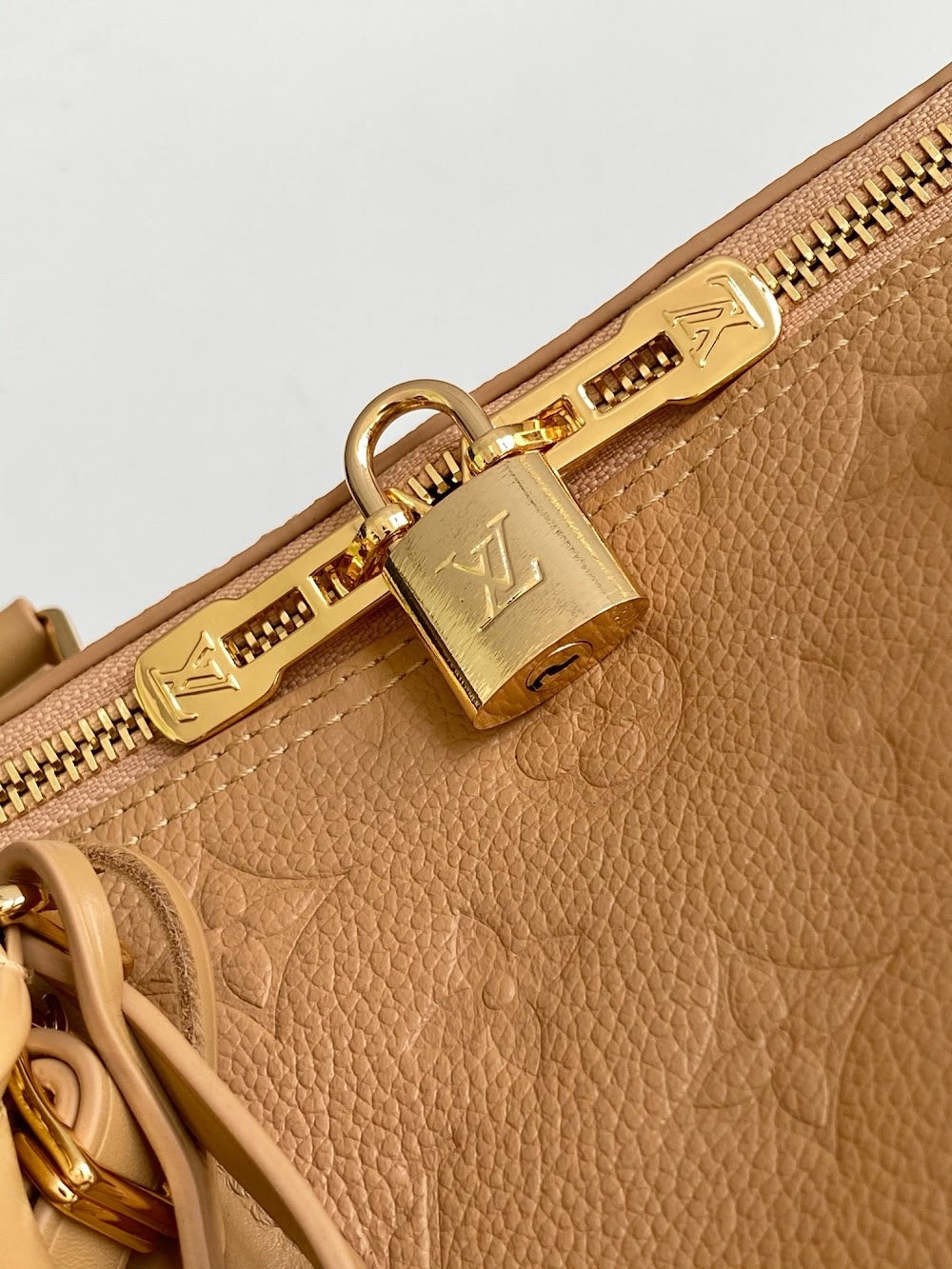 Dragons Bags LVn Luxury Bag --79638