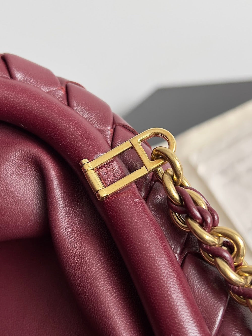 Dragons Bags Bottegan Luxury Bag --91228