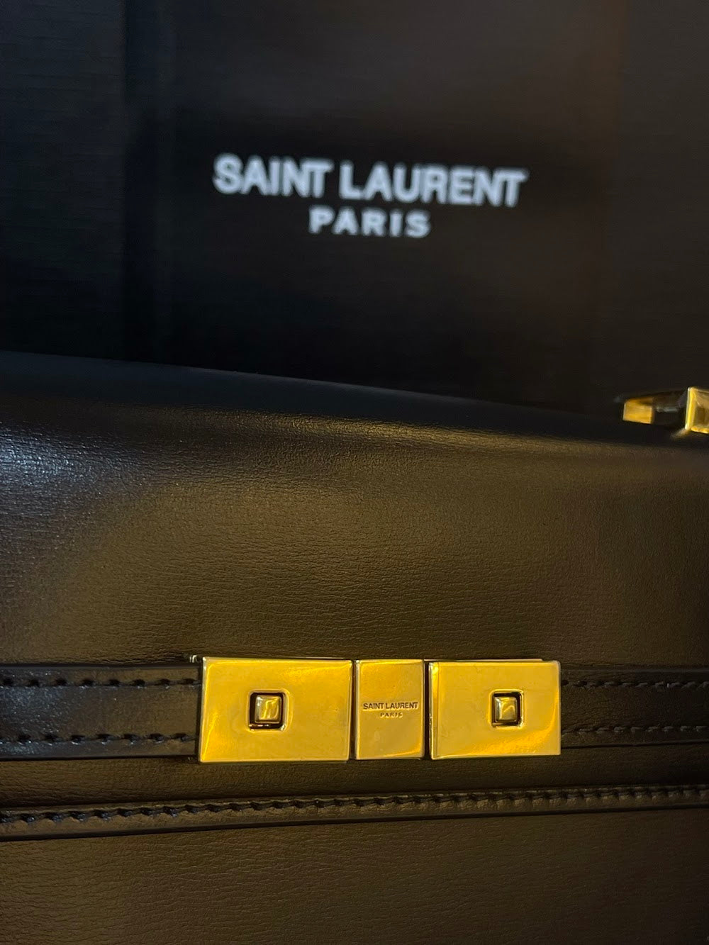 Dragons Bags YSLn Luxury Bag --120313