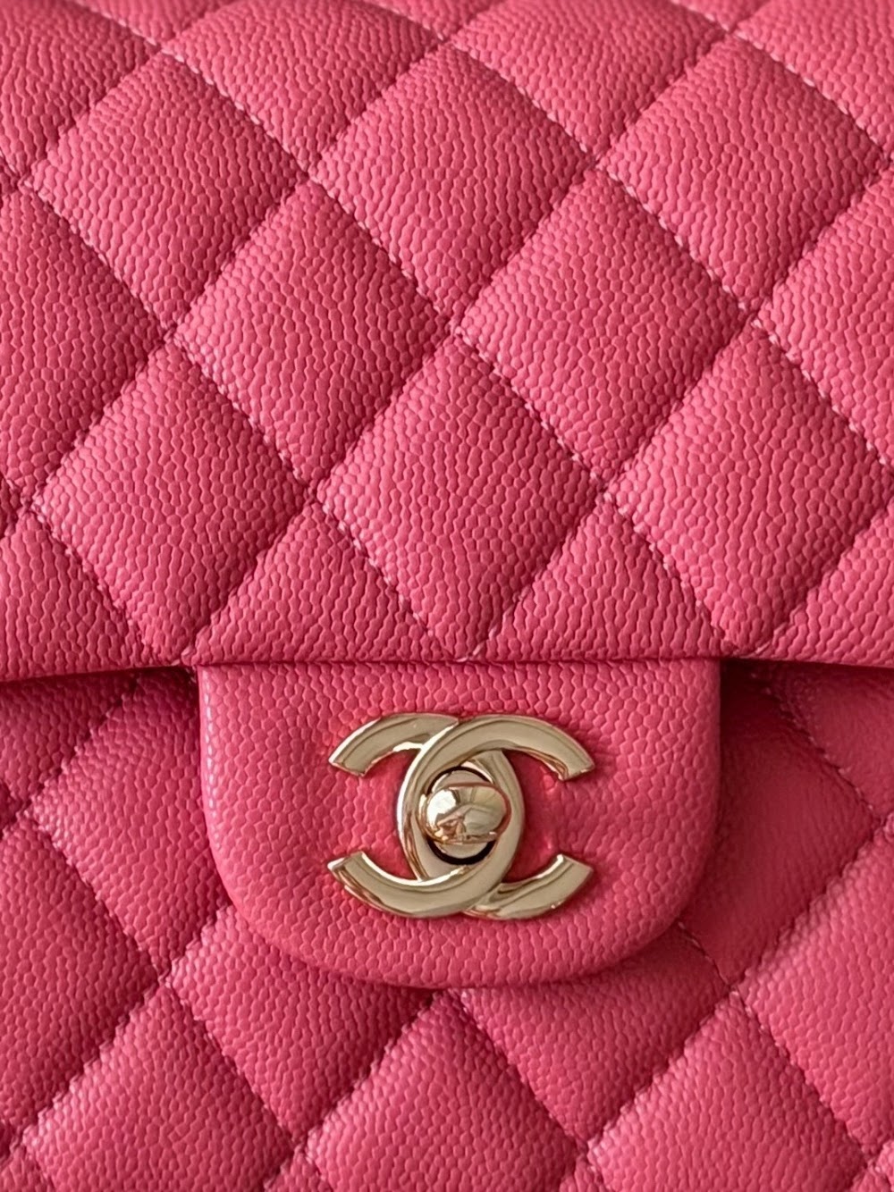 Dragons BagsCHn Luxury Bag --114041