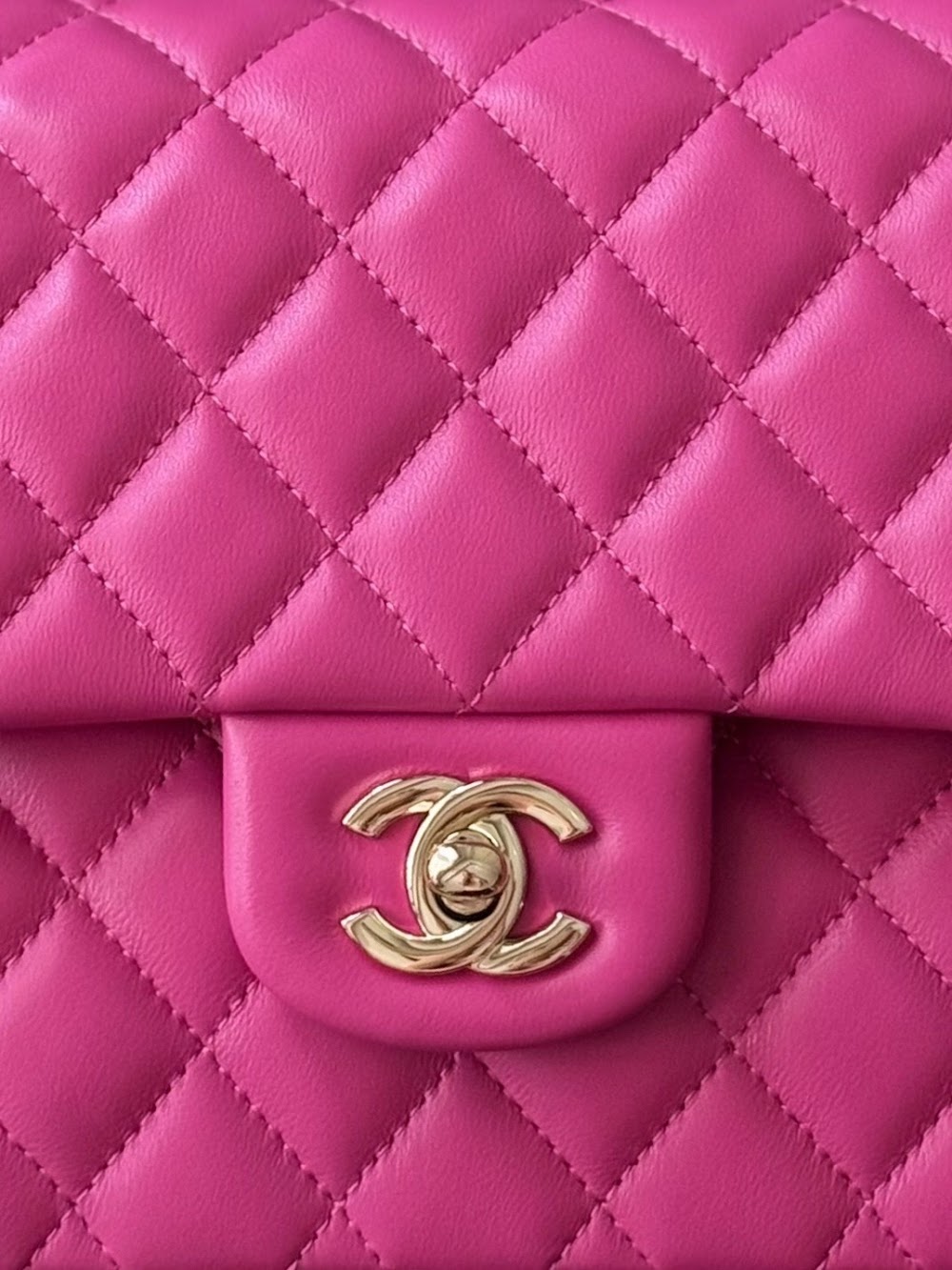 Dragons Bags CHn Luxury Bag --112986