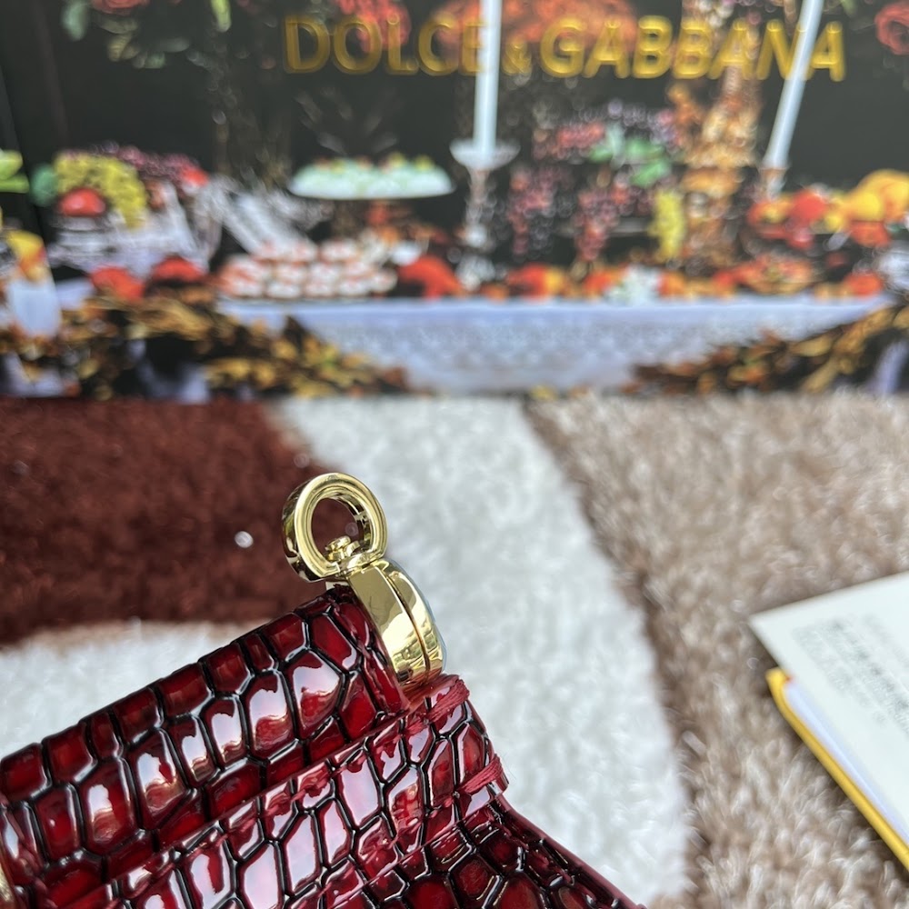 Dragons Bags DGn Luxury Bag --94036