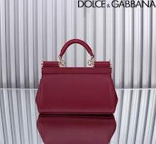 new-elite-designer-bags-nm6972