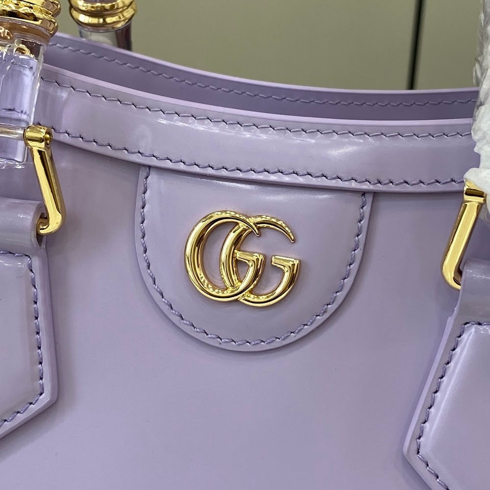 Dragons Bags Guccin Luxury Bag --94645
