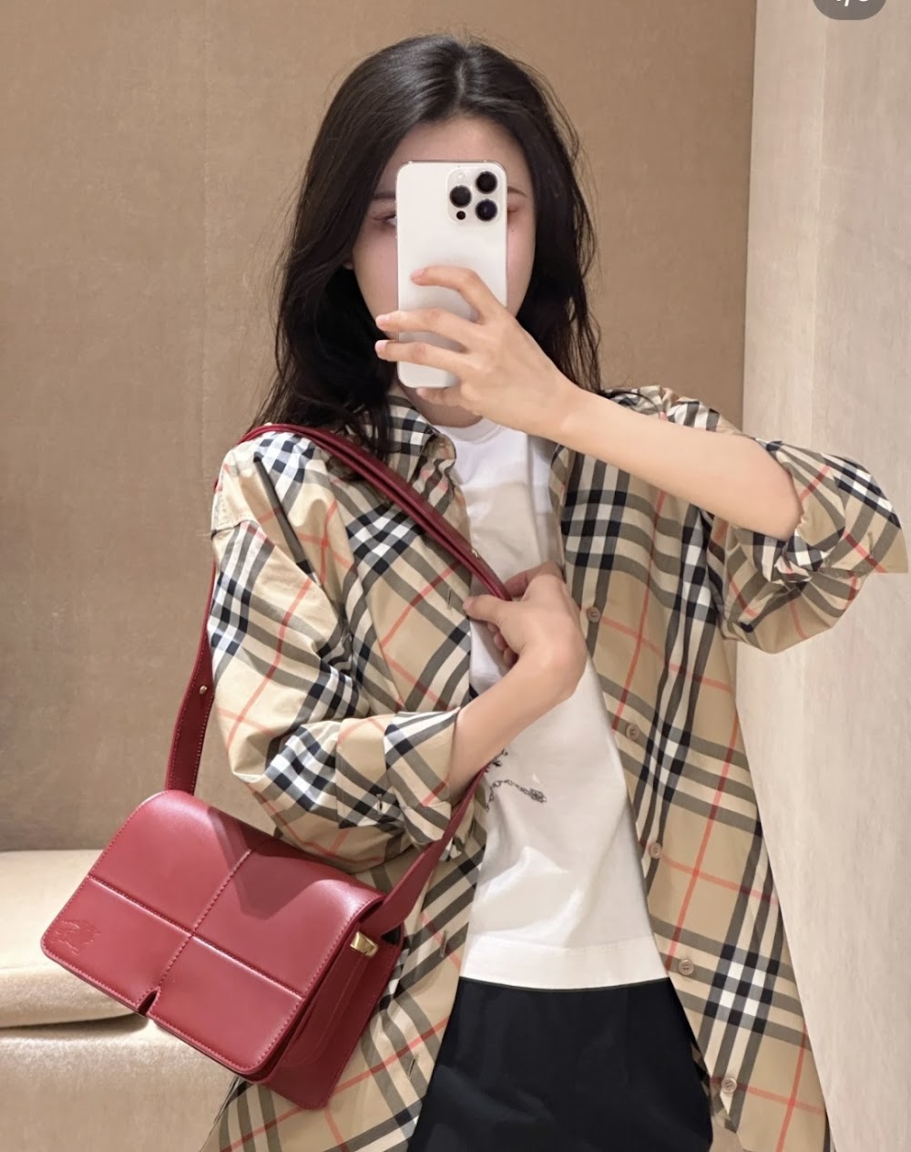 Dragons Bags Burberryn Luxury Bag --92959