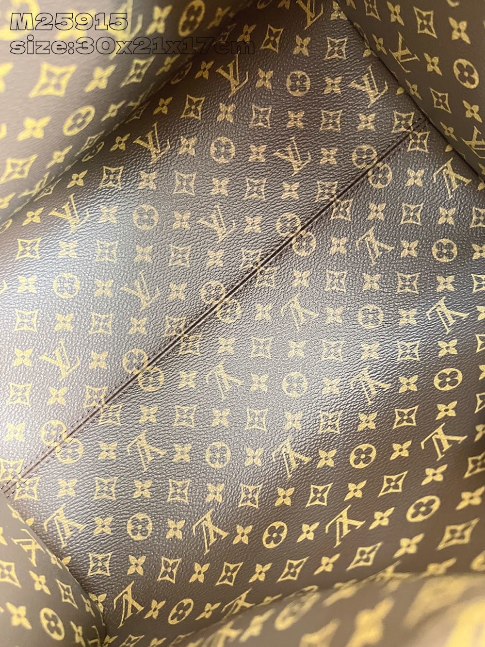 Dragons Bags ln Luxury Bag --95670
