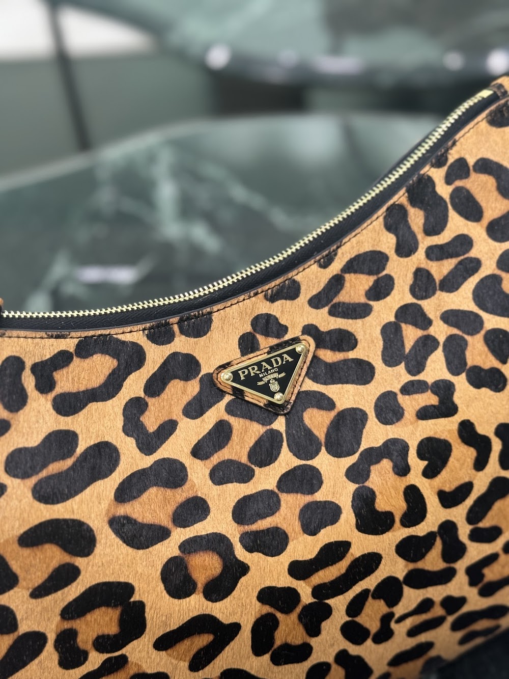 Dragons Bags Pradn Luxury Bag --101650